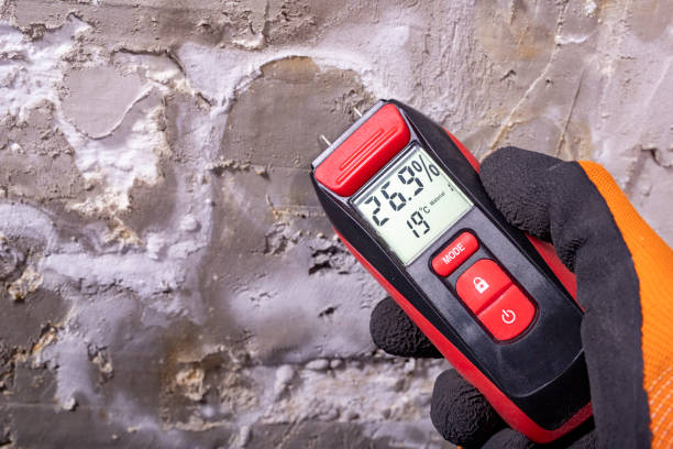 Best Water Damage Restoration  in Clton, IN